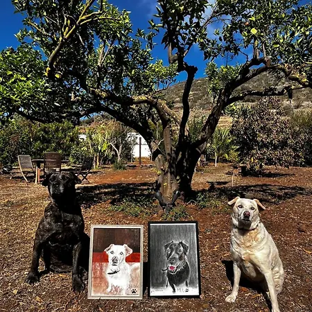 Kwatera prywatna El Sueno De Mama Tegueste