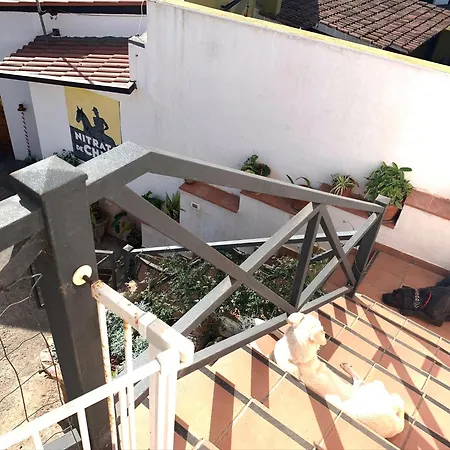 El Sueno De Mama Tegueste