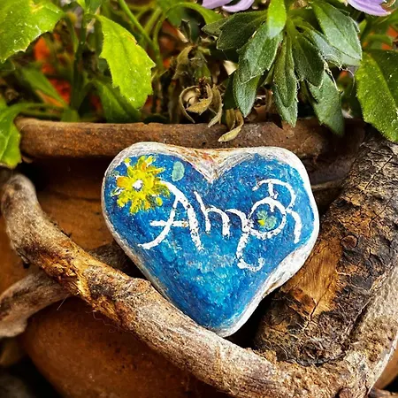 El Sueno De Mama Kwatera prywatna