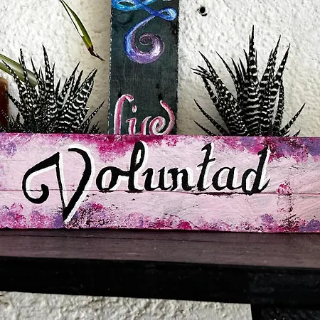 Kwatera prywatna El Sueno De Mama *