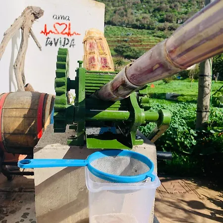 Kwatera prywatna El Sueno De Mama