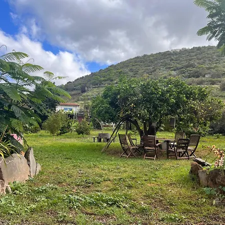 El Sueno De Mama * Tegueste