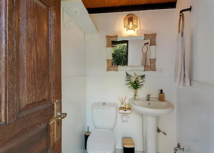 El Sueno De Mama Tegueste