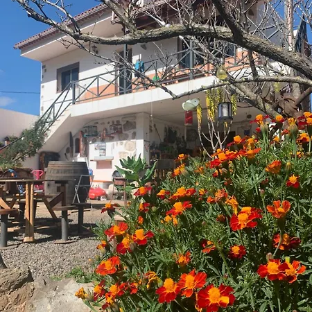 El Sueno De Mama Tegueste