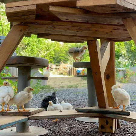 Séjour chez l'habitant El Sueno De Mama