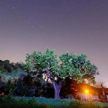 El Sueno De Mama Séjour chez l'habitant