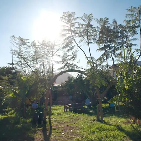 El Sueno De Mama * 特格斯特