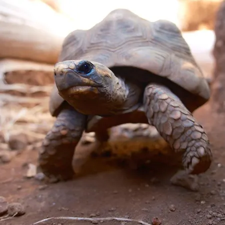 El Sueno De Mama Séjour chez l'habitant