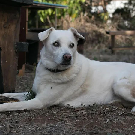 Séjour chez l'habitant El Sueno De Mama