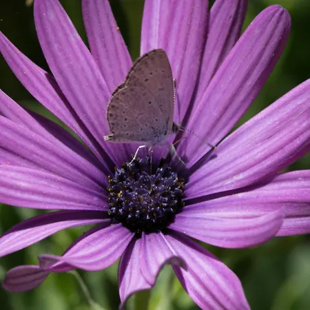 Séjour chez l'habitant El Sueno De Mama *