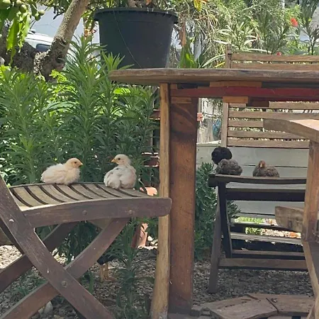 El Sueno De Mama Séjour chez l'habitant Tegueste