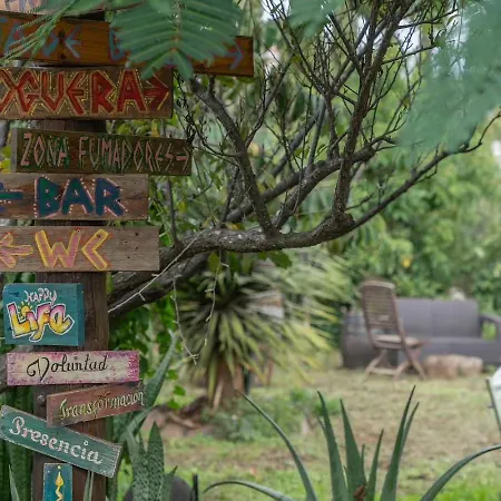 El Sueno De Mama 特格斯特