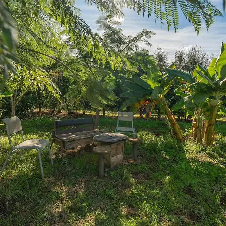 民宿 El Sueno De Mama *