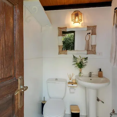 El Sueno De Mama Тегесте