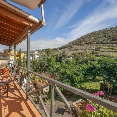 El Sueno De Mama * 特格斯特