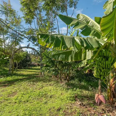 民宿 El Sueno De Mama *