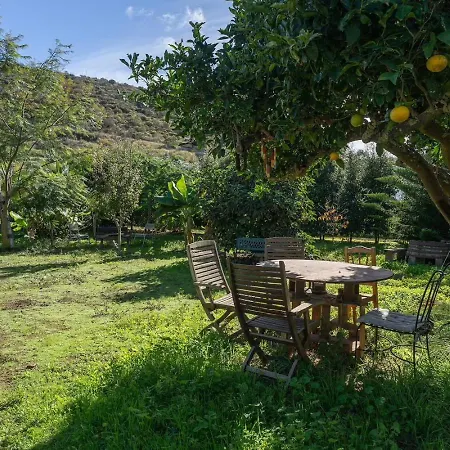 El Sueno De Mama Проживание в семье