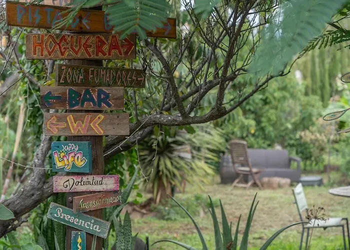 El Sueno De Mama Tegueste