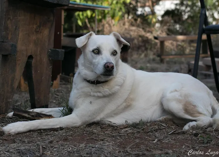 Séjour chez l'habitant El Sueno De Mama