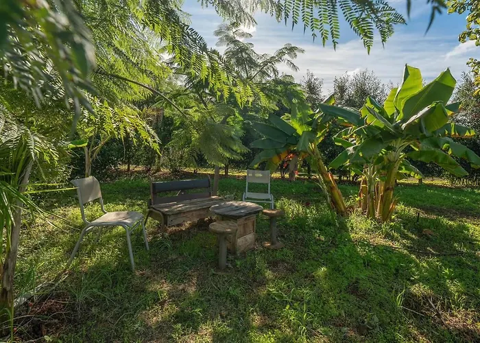 Séjour chez l'habitant El Sueno De Mama *