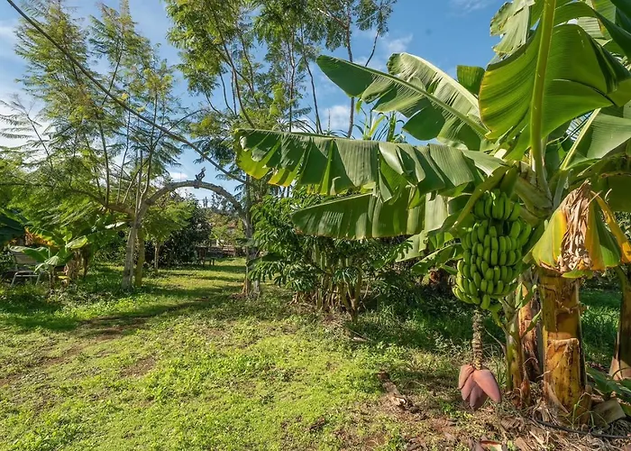 Séjour chez l'habitant El Sueno De Mama *