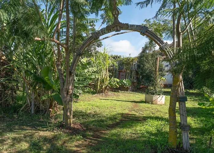 El Sueno De Mama Séjour chez l'habitant Tegueste